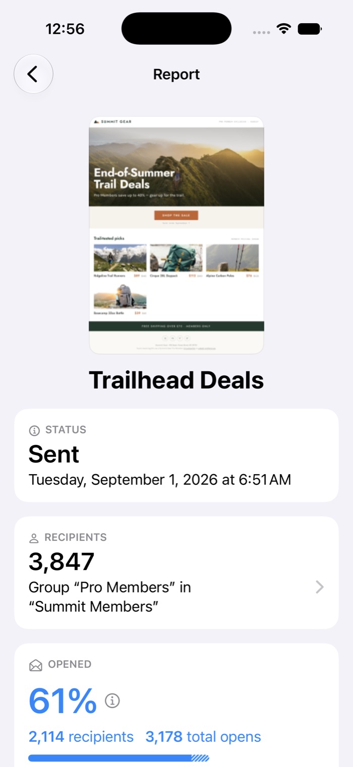 A campaign report in Direct Mail for iOS